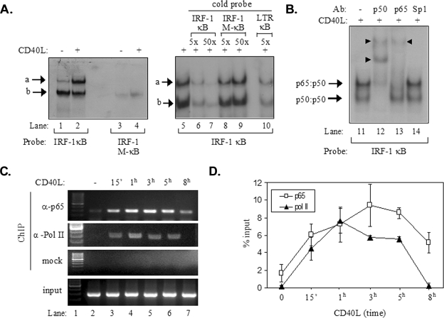 FIG. 4.