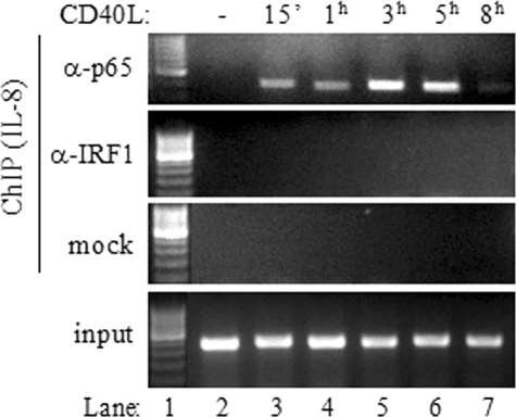 FIG. 8.