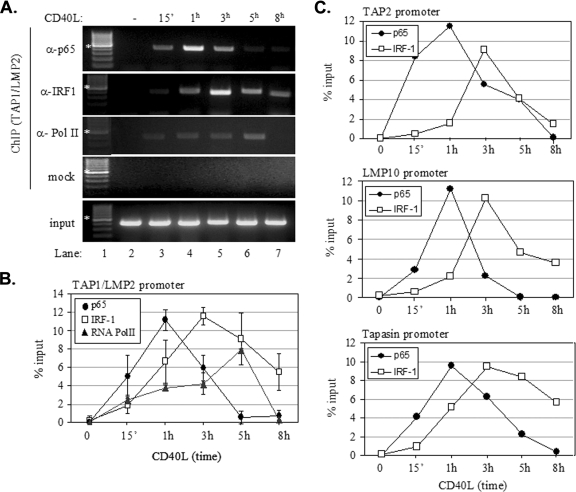 FIG. 7.