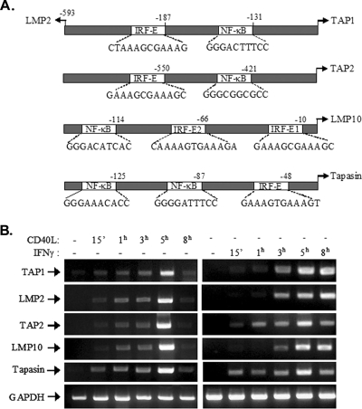 FIG. 6.