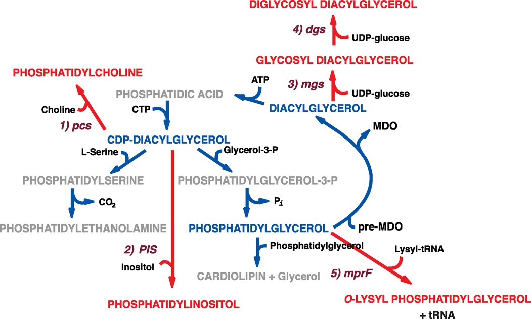 Figure 4