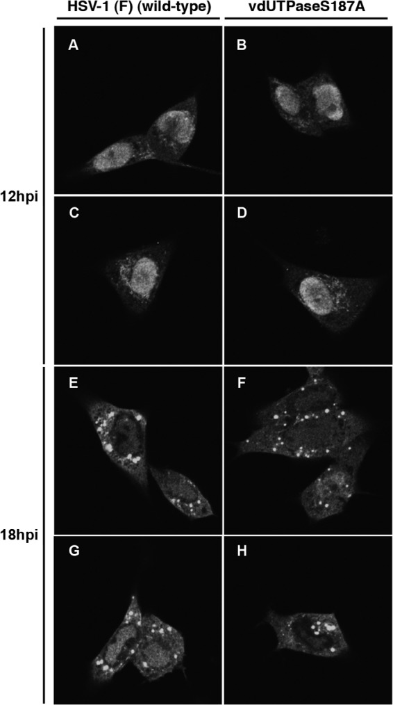 FIG 9