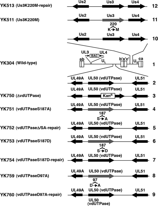 FIG 1