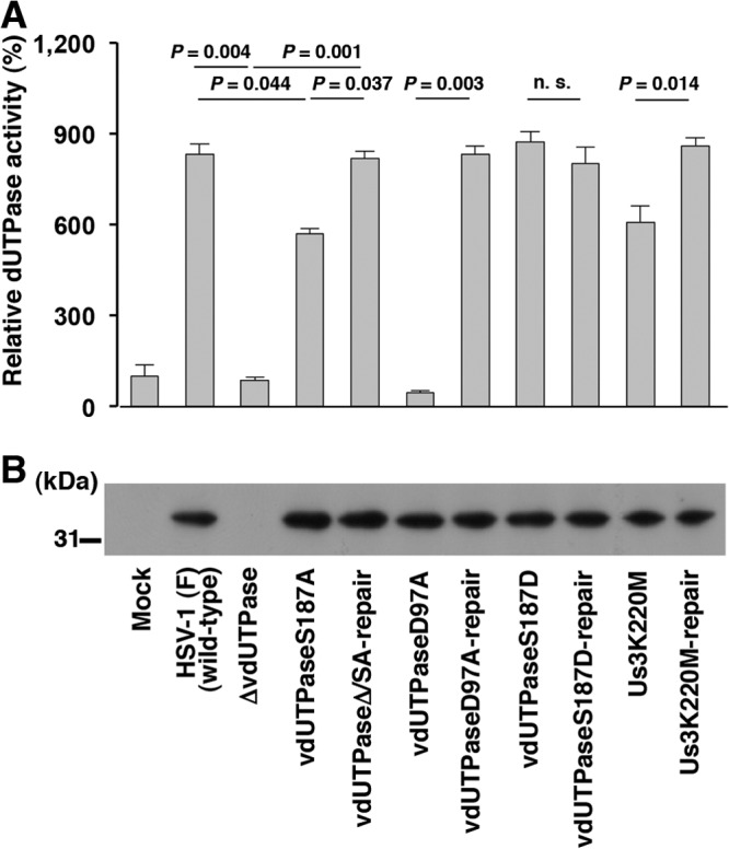 FIG 6