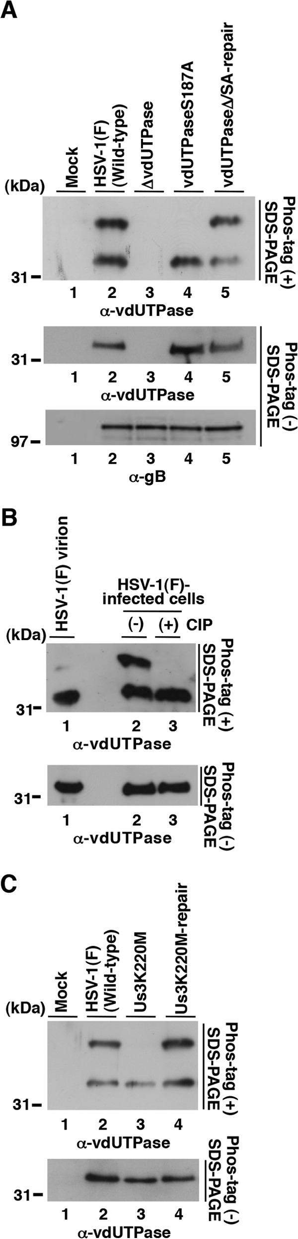 FIG 4