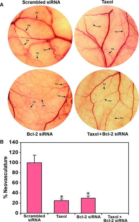 Fig 5