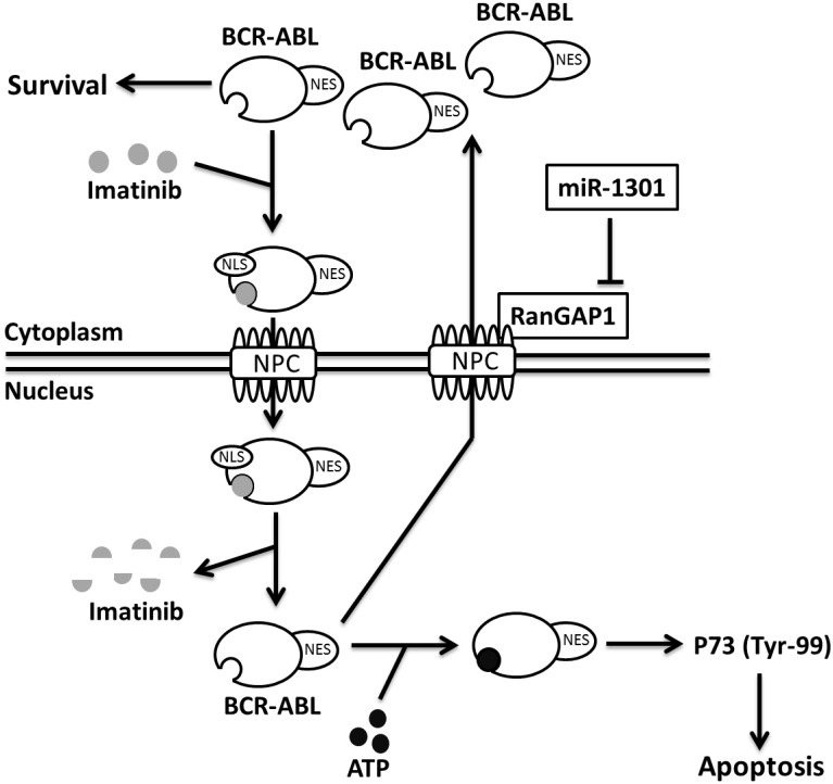 Fig 8