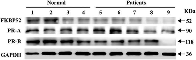 Figure 9.