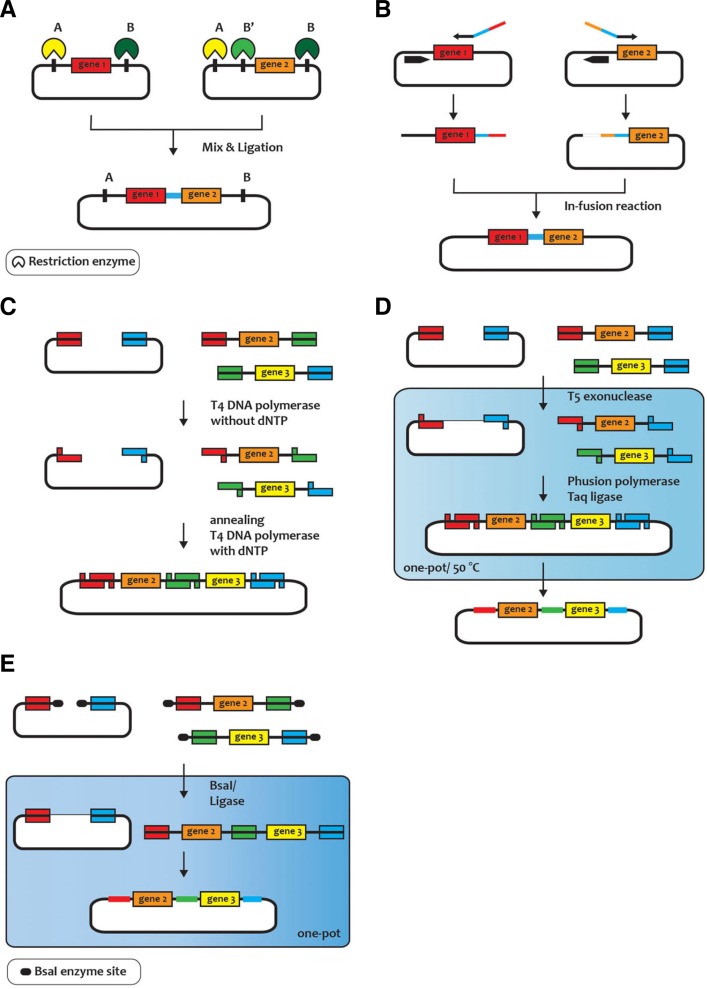 Fig. 2.