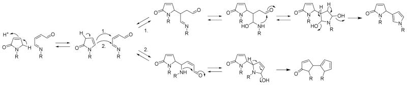 Scheme 3