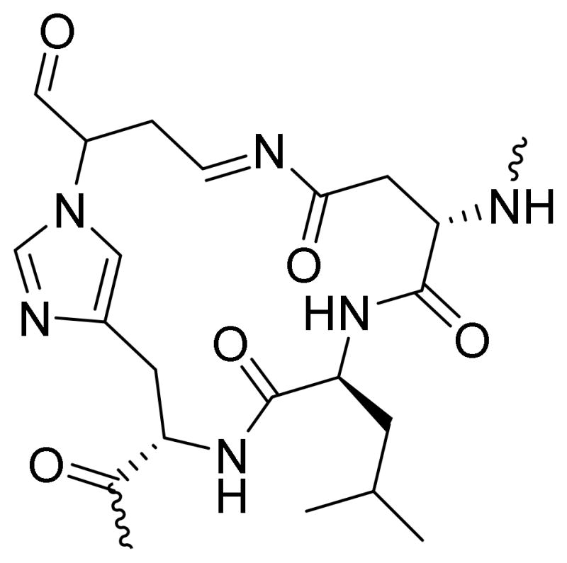 Scheme 4