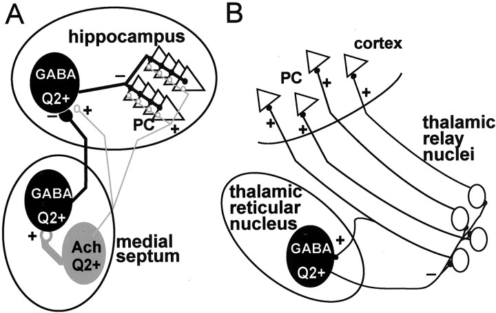 Fig. 10.