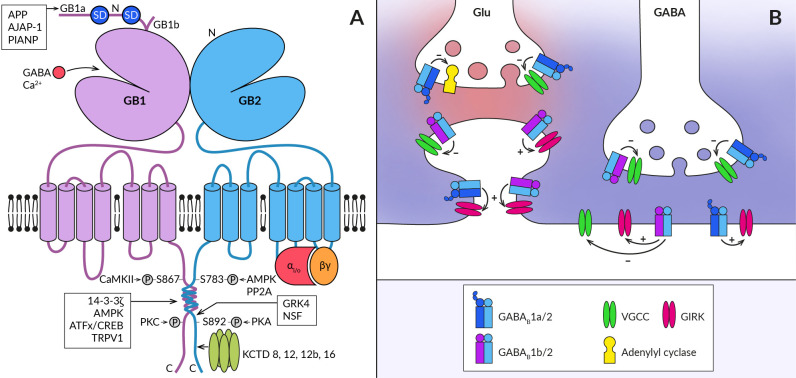 Figure 1