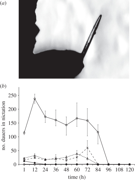 Figure 2.