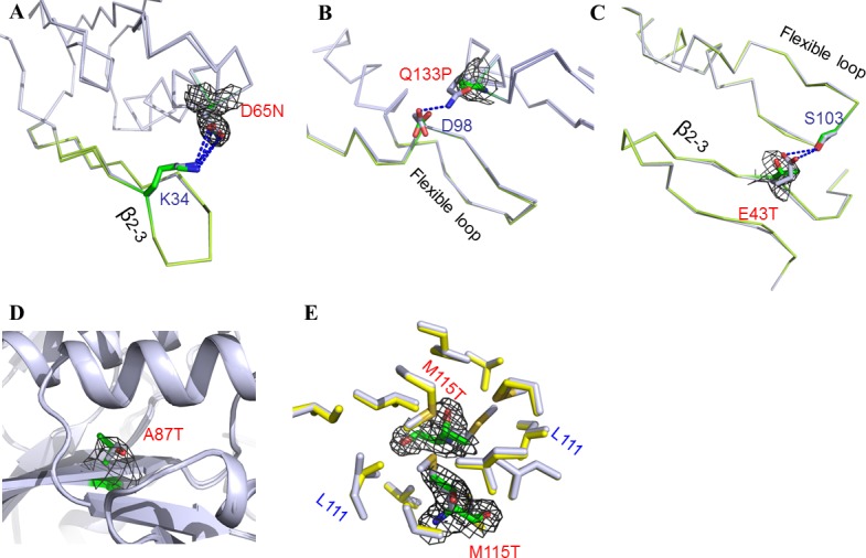 Fig 3