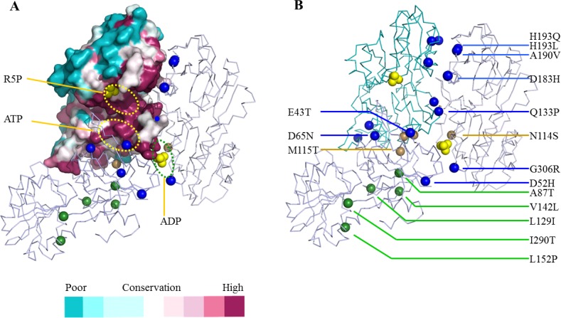 Fig 6