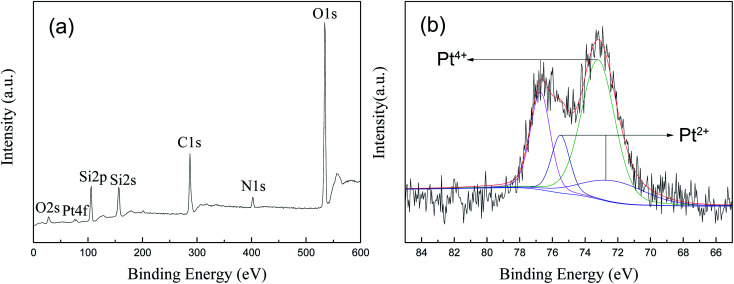 Fig. 8