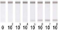 graphic file with name nanomaterials-11-03277-i007.jpg