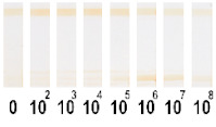 graphic file with name nanomaterials-11-03277-i015.jpg