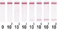 graphic file with name nanomaterials-11-03277-i004.jpg