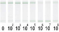 graphic file with name nanomaterials-11-03277-i011.jpg