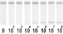 graphic file with name nanomaterials-11-03277-i008.jpg