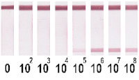 graphic file with name nanomaterials-11-03277-i003.jpg