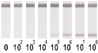 graphic file with name nanomaterials-11-03277-i005.jpg