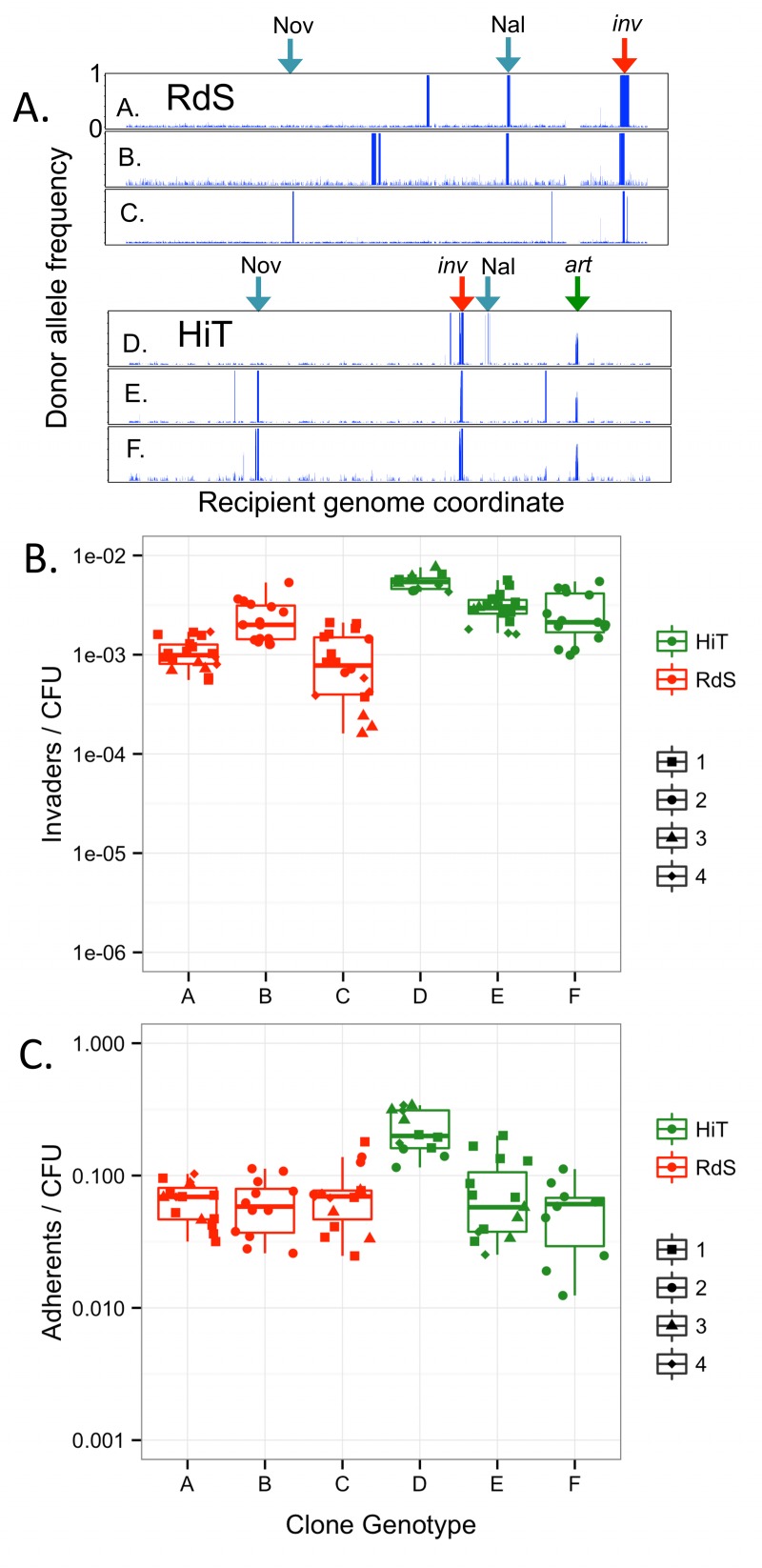 Fig 7