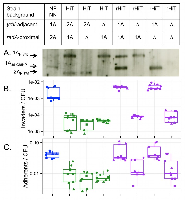 Fig 8