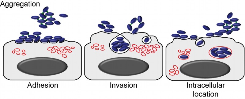 Fig 12