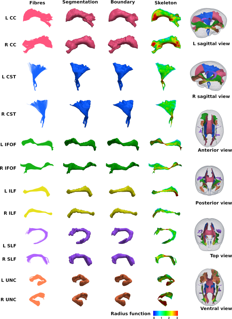 Fig. 7