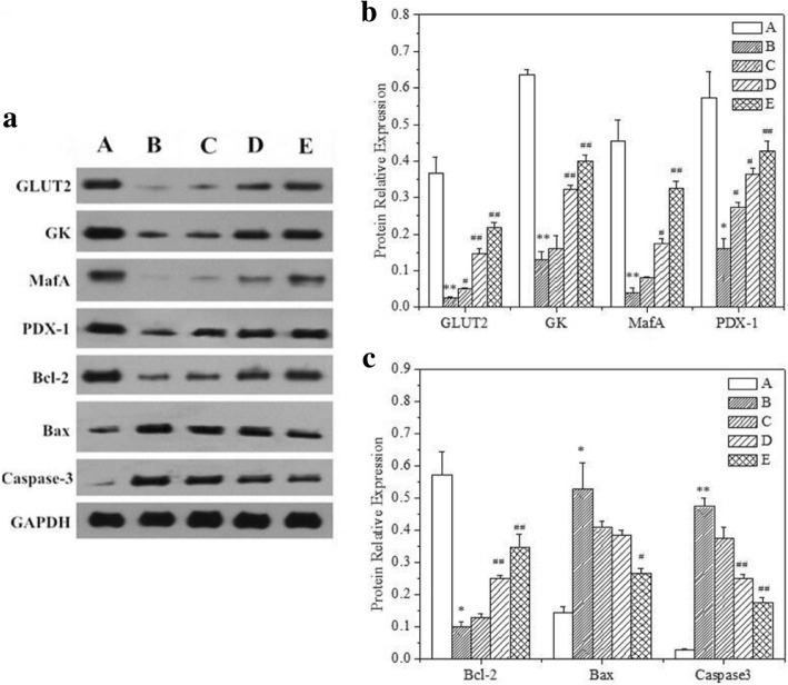 Fig. 11