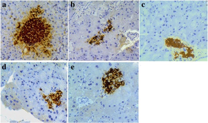 Fig. 10