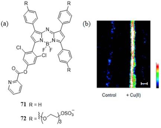 Figure 34.