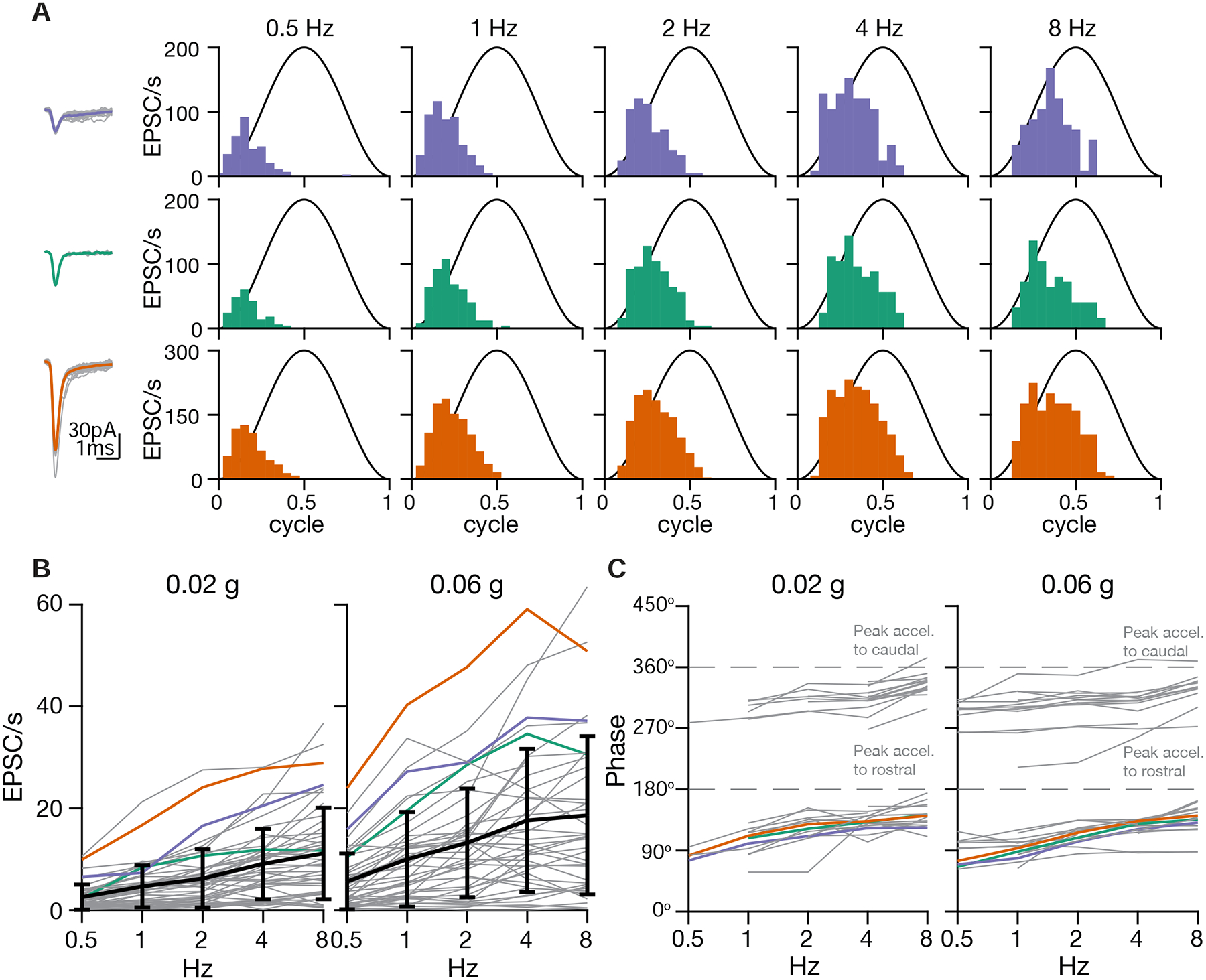 Figure 6: