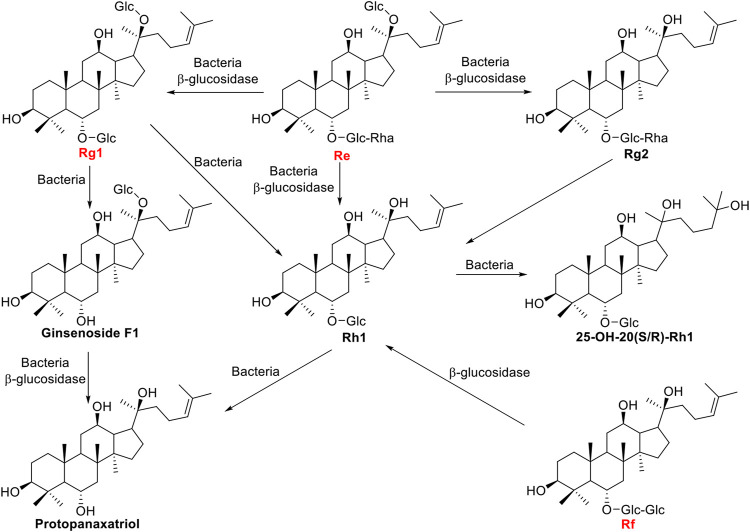 FIGURE 4