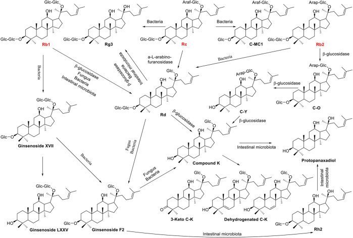 FIGURE 3