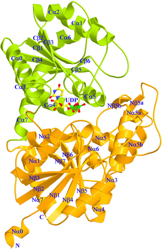 Figure 2.