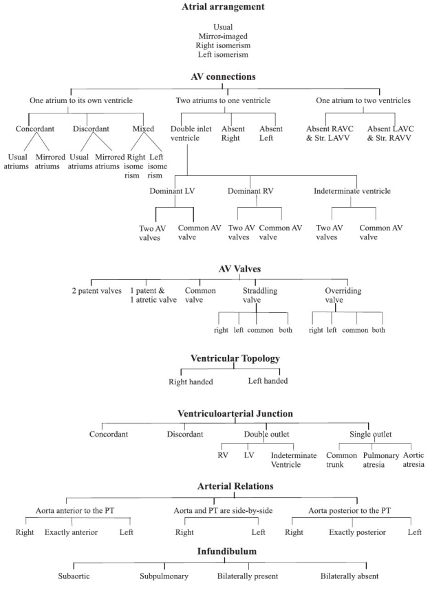 Flow diagram