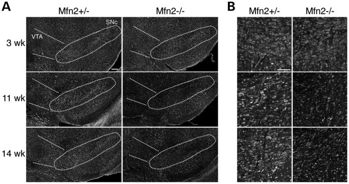 Figure 4.