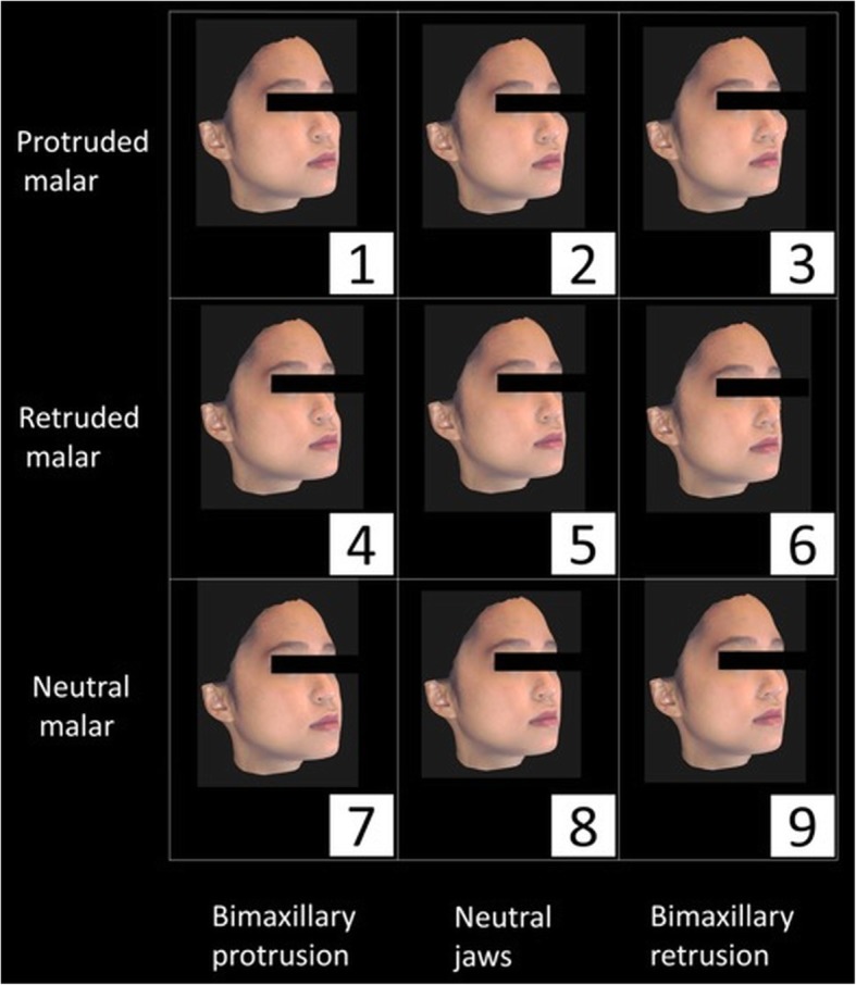 Fig. 3