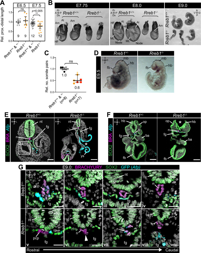 Figure 2—figure supplement 1.