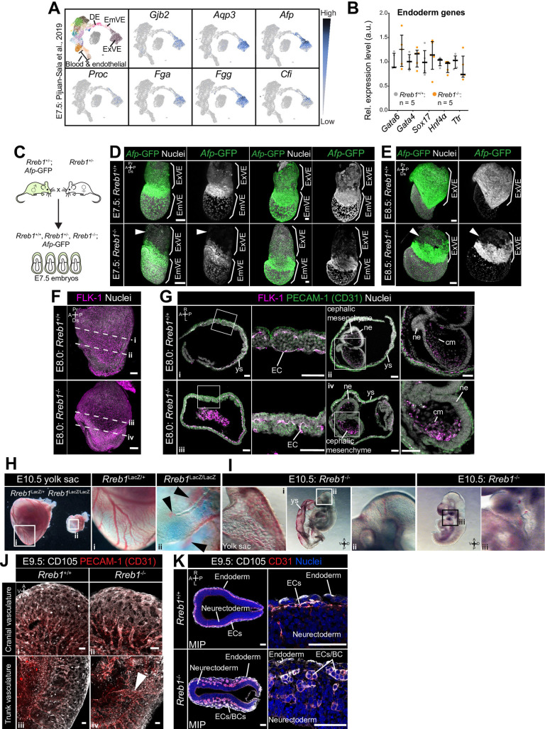 Figure 3—figure supplement 1.