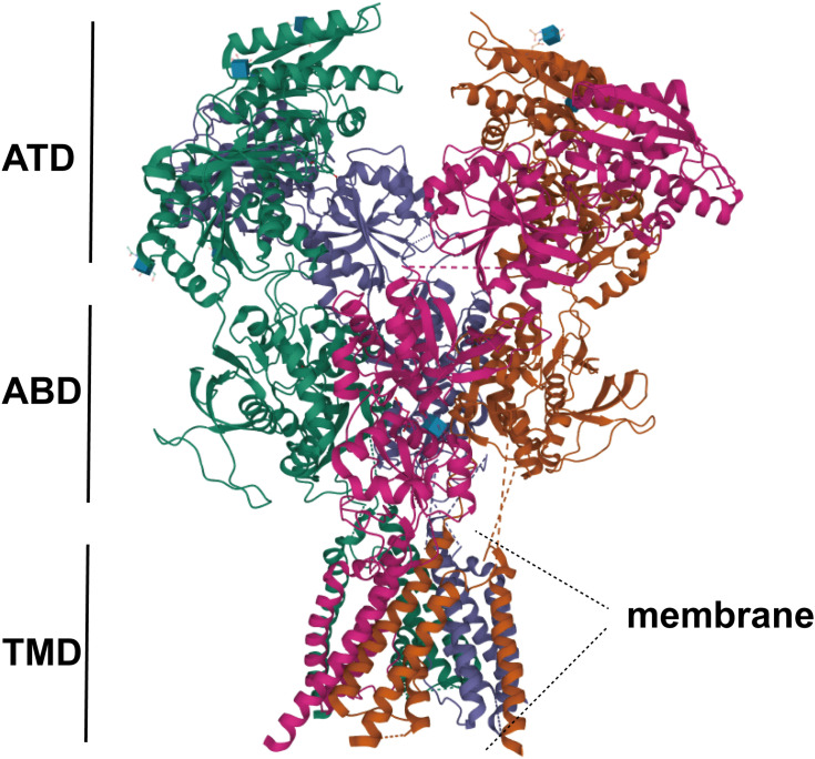 Figure 1