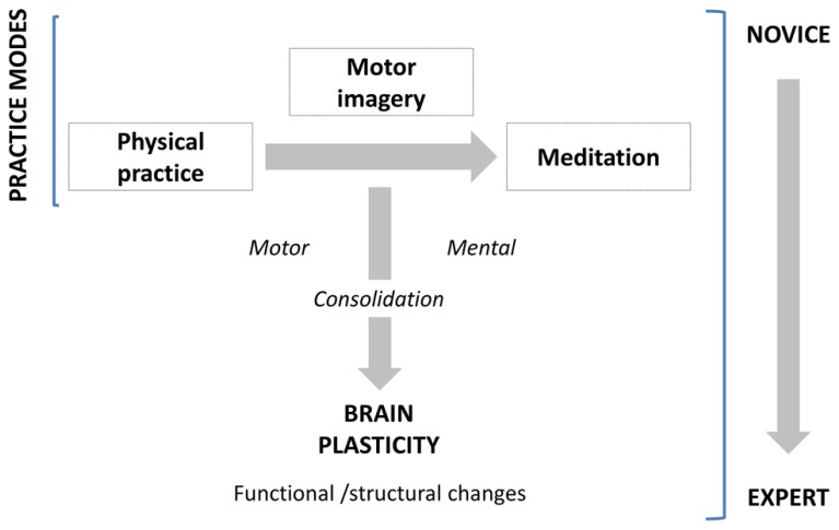 FIGURE 1