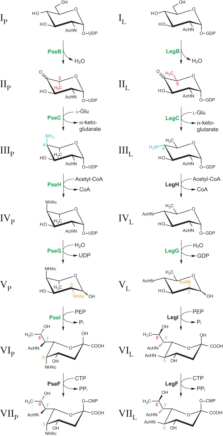 Fig. 2.