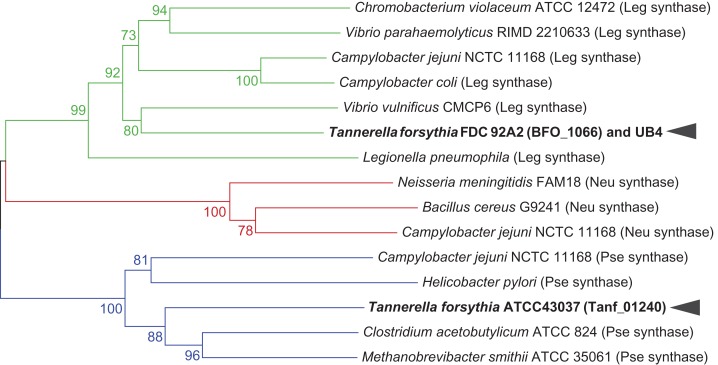 Fig. 3.