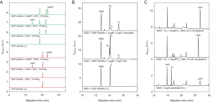 Fig. 6.