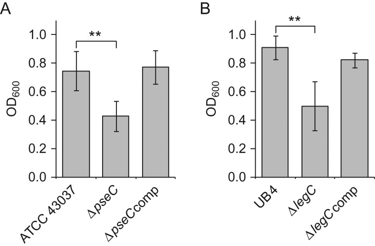 Fig. 8.